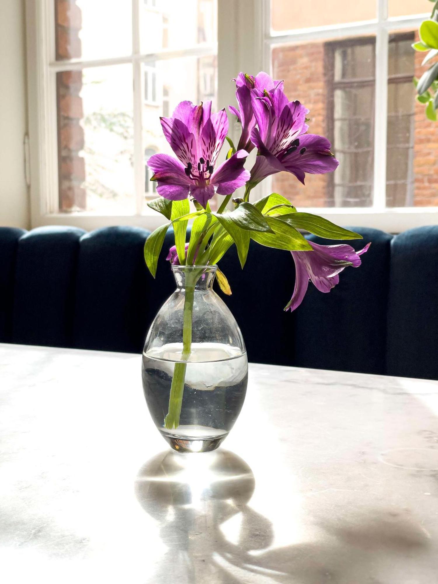 Best Western Hotel Karlaplan Stockholm Luaran gambar